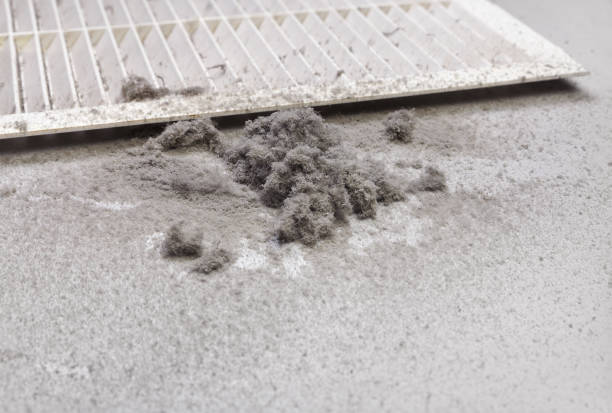 Best Home Air Vent Cleaning  in Rose Valley, PA